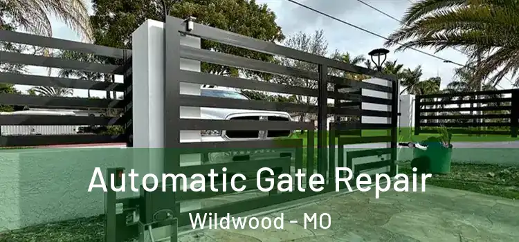 Automatic Gate Repair Wildwood - MO