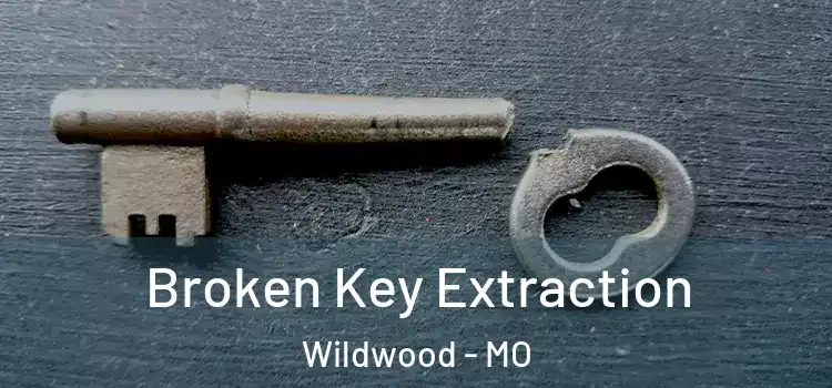  Broken Key Extraction Wildwood - MO