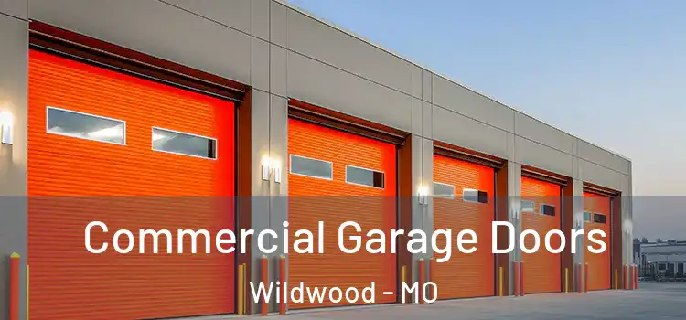  Commercial Garage Doors Wildwood - MO