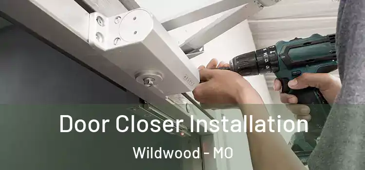  Door Closer Installation Wildwood - MO