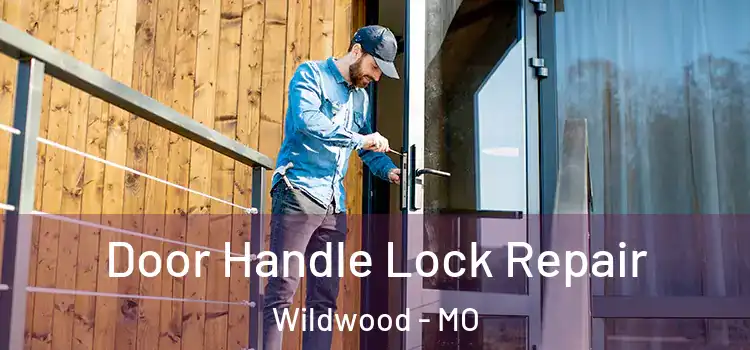 Door Handle Lock Repair Wildwood - MO