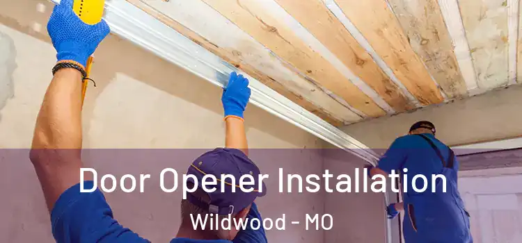  Door Opener Installation Wildwood - MO