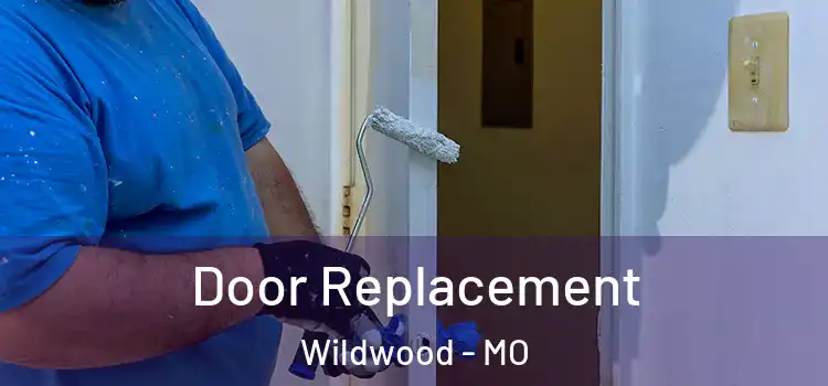  Door Replacement Wildwood - MO