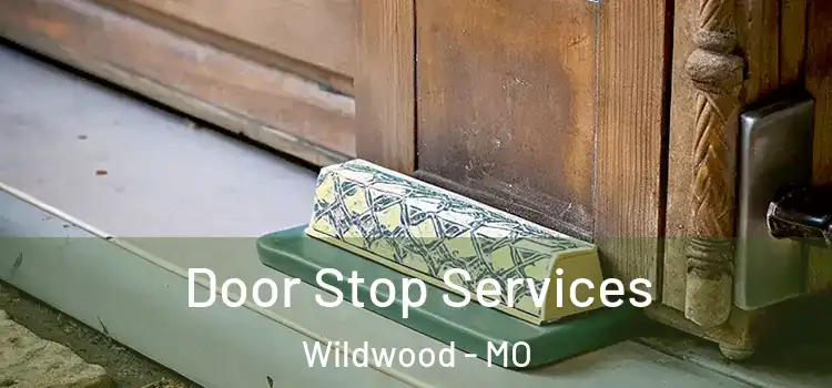 Door Stop Services Wildwood - MO