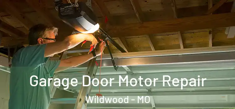  Garage Door Motor Repair Wildwood - MO
