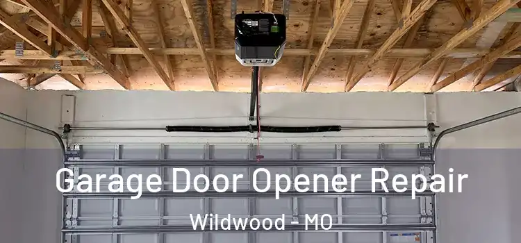  Garage Door Opener Repair Wildwood - MO