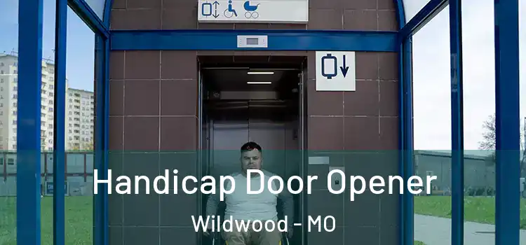  Handicap Door Opener Wildwood - MO