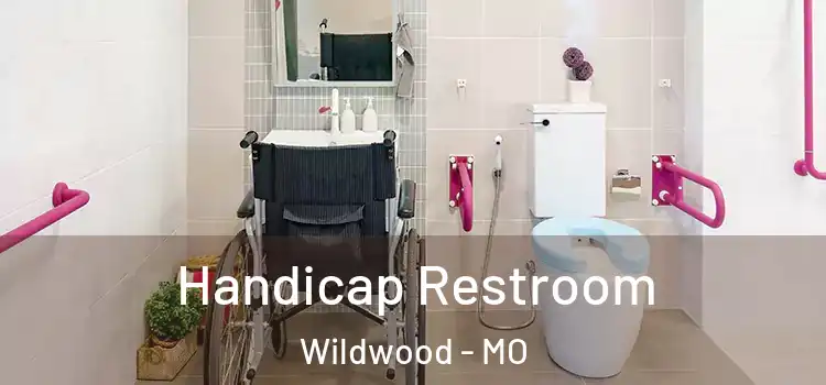  Handicap Restroom Wildwood - MO