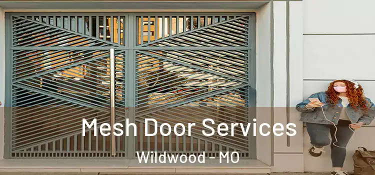 Mesh Door Services Wildwood - MO