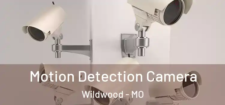  Motion Detection Camera Wildwood - MO
