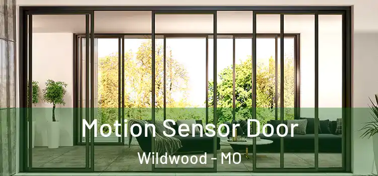  Motion Sensor Door Wildwood - MO