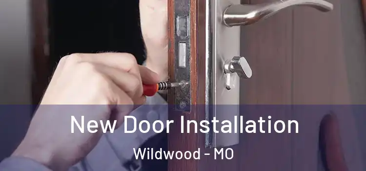  New Door Installation Wildwood - MO