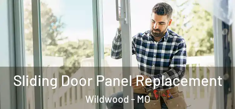  Sliding Door Panel Replacement Wildwood - MO