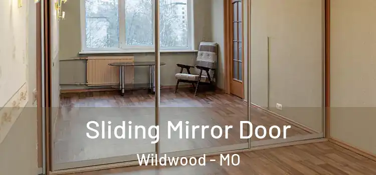  Sliding Mirror Door Wildwood - MO