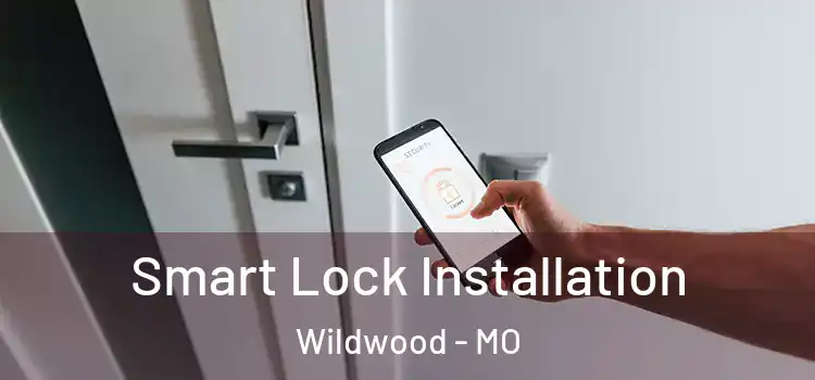 Smart Lock Installation Wildwood - MO